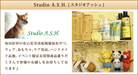 Studio  A．S．H．[スタジオアッシュ]